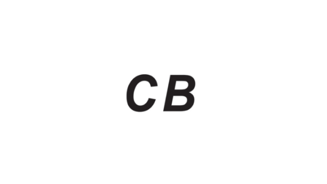 b2_logo06.jpg